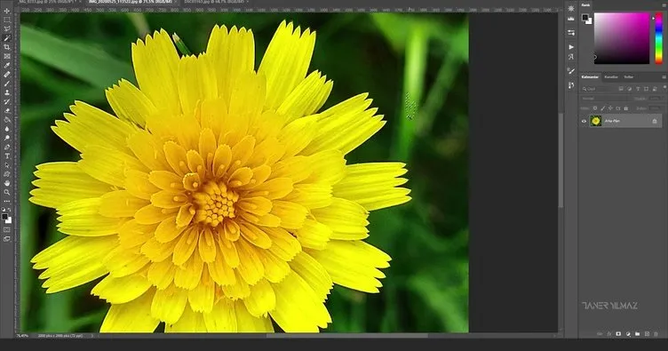 Photoshop Magic Wand Tool Ne İşe Yarar? Adobe Photoshop Sihirli Değnek Aracı Nasıl Kullanılır ve Kısayolu Ne?