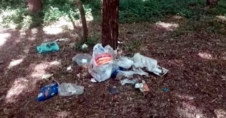 Piknikçiler ormanları çöplüğe çeviriyor