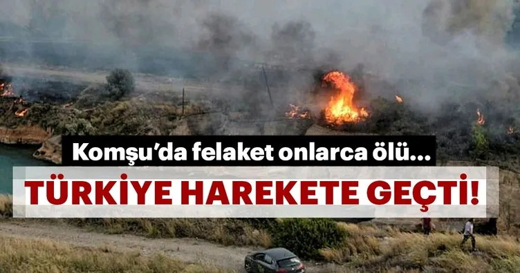 Yunanistan’da orman yangını! Türkiye’den destek
