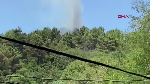 İstanbul Beykoz'da ormanlık alandaki yangın kamerada