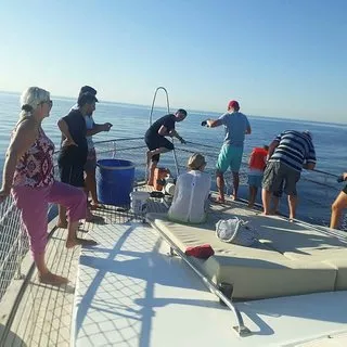 Son dakika haberi: Antalya’da köpek balığı dehşeti! Oltaya takılan köpek balığı herkesi şoke etti!