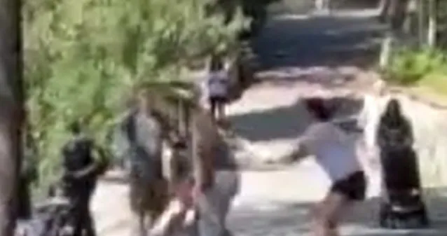 Maçka Parkı’nda dehşete düşüren görüntü: Kendisini uyaran kadın ve adama kabusu yaşattı!