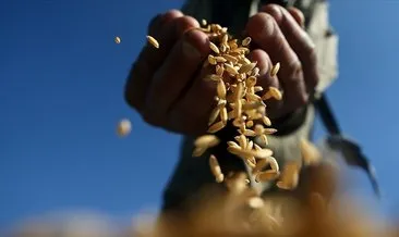 Emtia piyasasında gıda pozitif ayrıştı