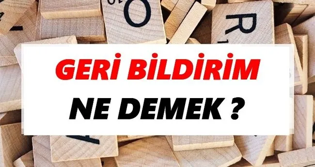 Geri bildirim Ne Demek? TDK’ya Göre Geri bildirim Sözlük Anlamı Nedir?
