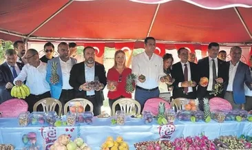 Gazipaşa’da tropikal festival