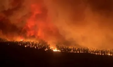 Fransa’da yangın! Dakikada 10 futbol sahası büyüklüğünde alan yanıyor