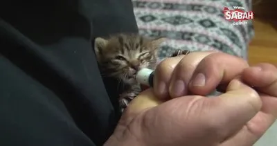 Bursa’da üç aylık genç anne sokakta bulduğu yavru kediyi kendi sütüyle besledi Çocuğumun süt kardeşi bir kedi oldu