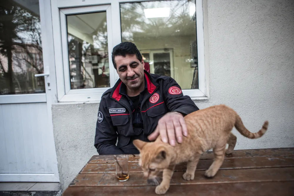 İtfaiyenin kadrolu kedisi Boncuk FotoHaber Yaşam