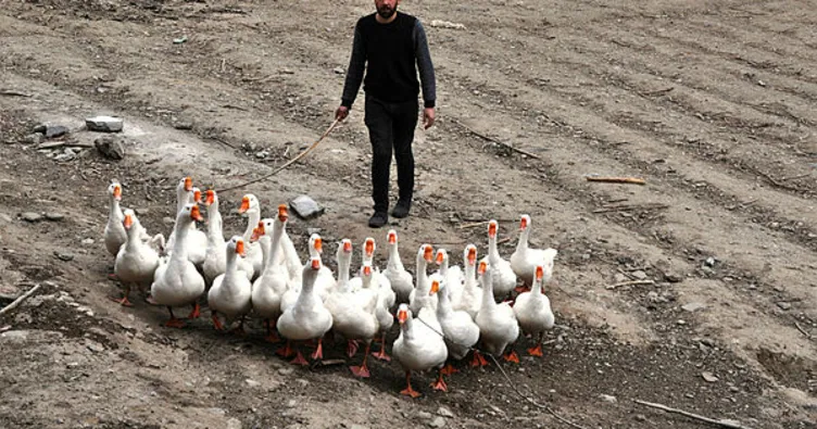 Fırın işçiliğinden kaz üreticiliğine