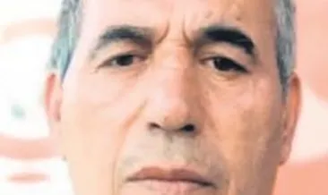 İncir ağacındaki yılan öldürdü