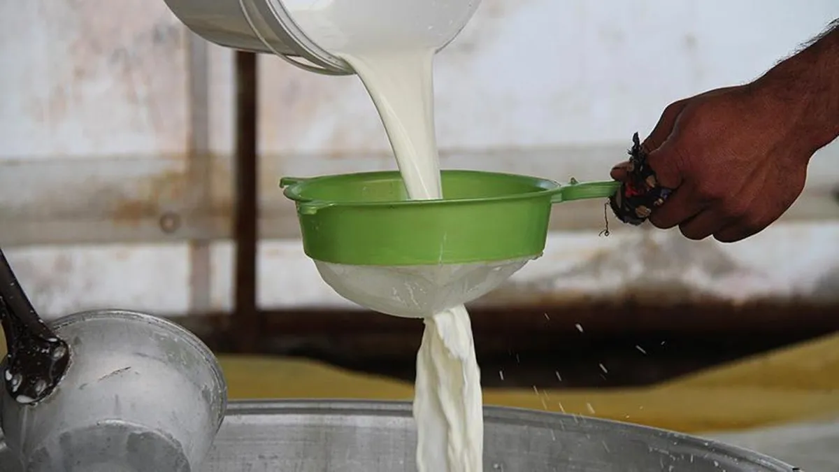 Süt üreticilerine ilave destek! Soğutulmuş çiğ süt için yeni kriterler... Mesleki yeterlilik belgesi şartı getirildi