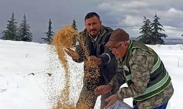 Doğaya yem bıraktılar