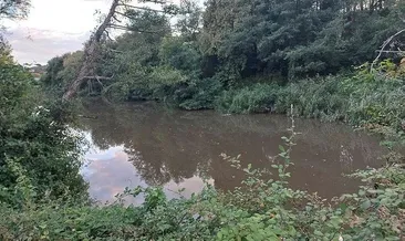 Cennet Riva ölüyor