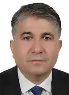 Süleyman Gök