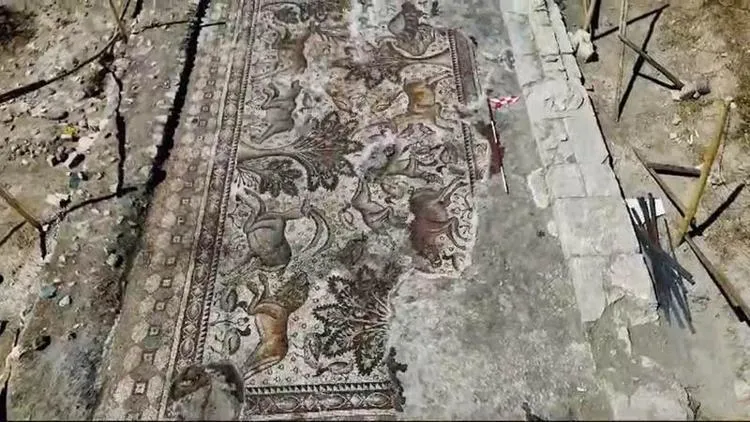 Sadece 50 cm kazdı hayatının şokunu yaşadı! Kiraz dikerken hazine buldu: 1700 yıldır oradaymış...