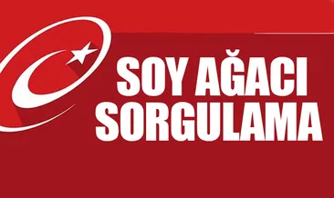 E Devlet giriş ile soy ağacı sorgulama nasıl yapılır? - Alt üst soy ağacı ile ilgili resmi açıklama geldi!