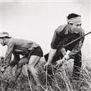 Vietnam’da iç savaş başladı