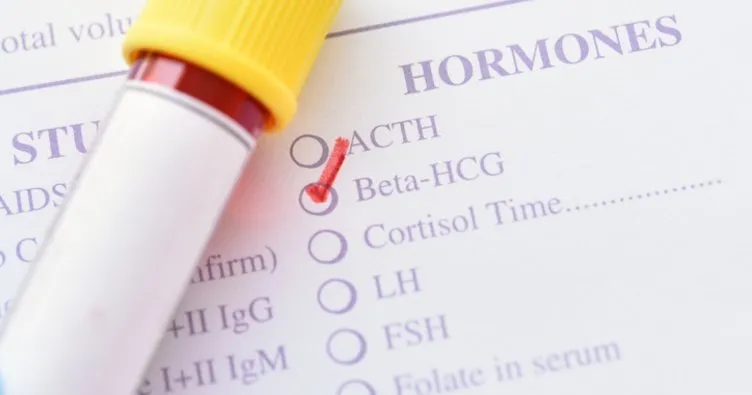 12 günlük gebelikte beta HCG değeri kaç olmalı? Kanda beta hCG değeri ne zaman yükselir?