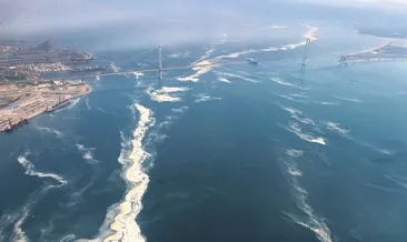 Havadan müsilaj belası