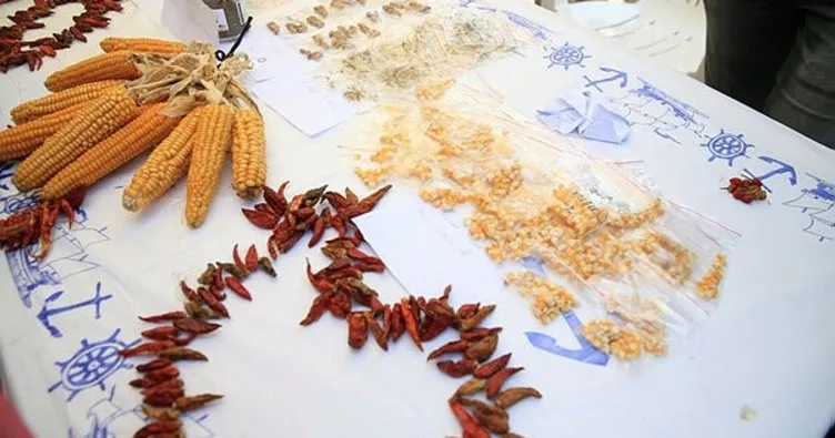 Yüz binlerce yerel tohum Nilüfer’de takas edilecek