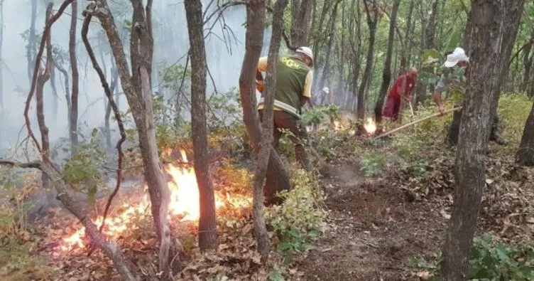 Ülke genelindeki 6 orman yangını kontrol altına alındı