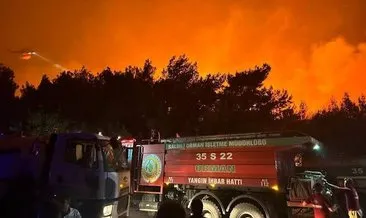 Evi kundaklayıp orman yangını başlatmış! Şüpheli gözaltına alındı #izmir