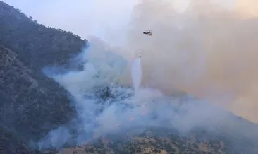 Kahramanmaraş’ta orman yangını #kahramanmaras