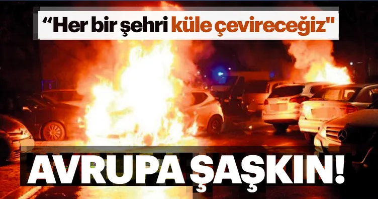 Besledikleri karga gözlerini oyuyor