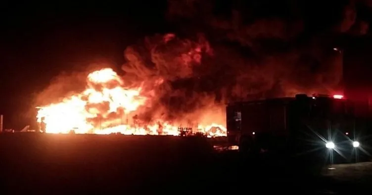 Sakarya’da fabrika alev alev yandı