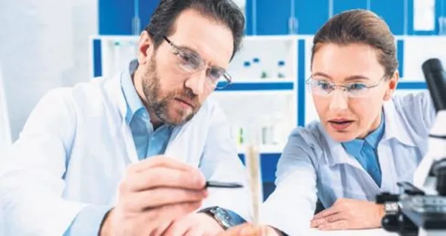 Bilimsel araştırma burslarında 3 kat artış Bilimsel araştırma burslarında 3 kat artış