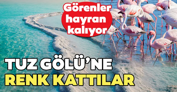 Flamingolar, Tuz Gölü’ne renk kattı