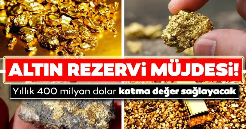 yillik 400 milyon dolar katma deger