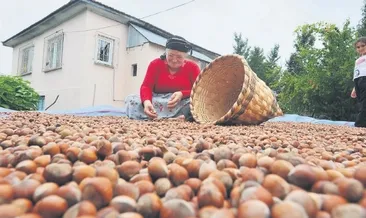 Erdoğan bizi darda bırakmadı