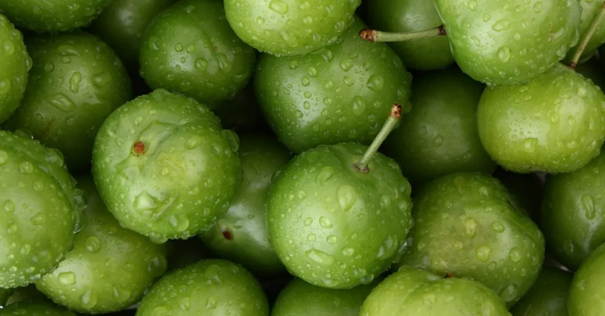 yesil erigin faydalari nelerdir iste yesil erigin faydalari saglik haberleri