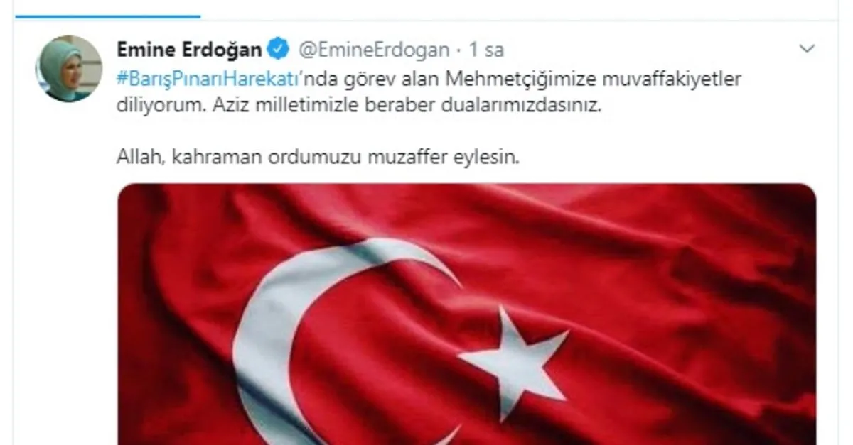 emine erdogan dan baris pinari harekati