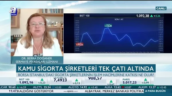 kamu sigorta sirketlerinin tek cati altinda birlestirilmesinin faydalari neler