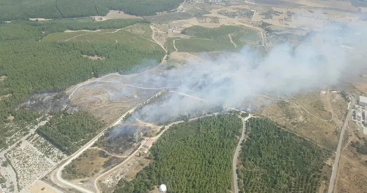 Gaziemir’de orman yangını