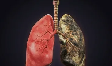 Akciğerdeki zehri temizliyor!