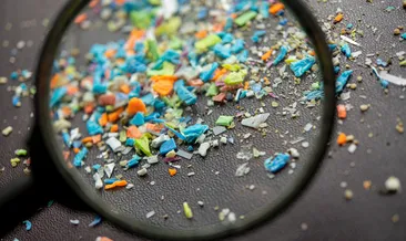 Araştırma sonuçları şaşırttı! Bu gıda mikroplastiklerin atılmasına yardımcı olabilir