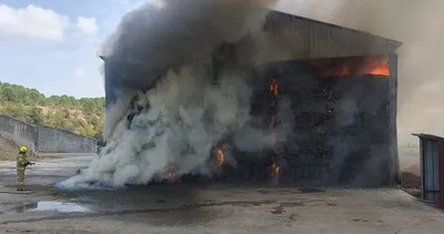 Susurluk’ta yangın: Saman deposu yok oldu #balikesir