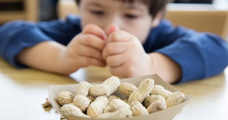 Minikler için besin alerjisi farkındalık eğitimi