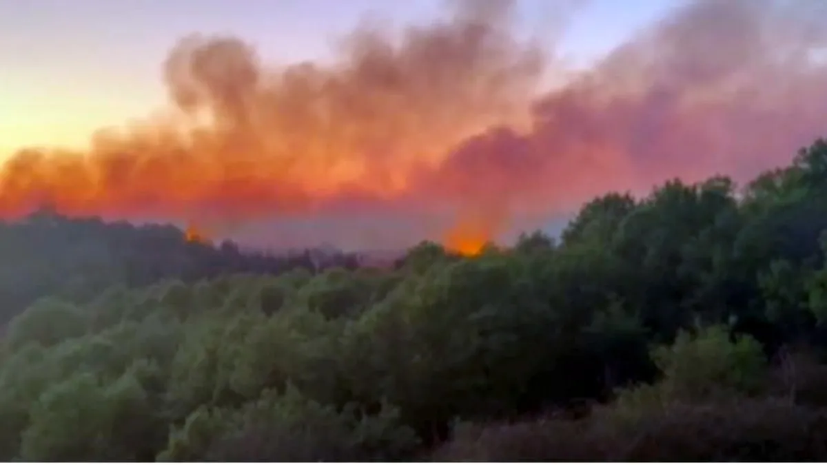 Beykoz ve Çatalca’da korkutan yangın