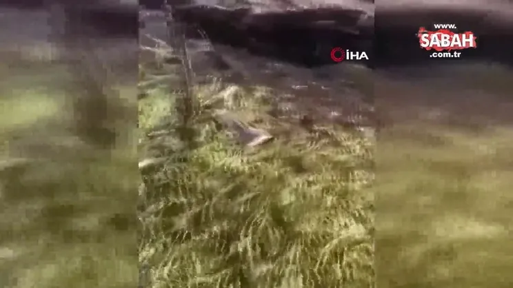 Rusya'nın Ukrayna sınırında savaş uçağı ve helikopter düştü: 2 ölü | Video