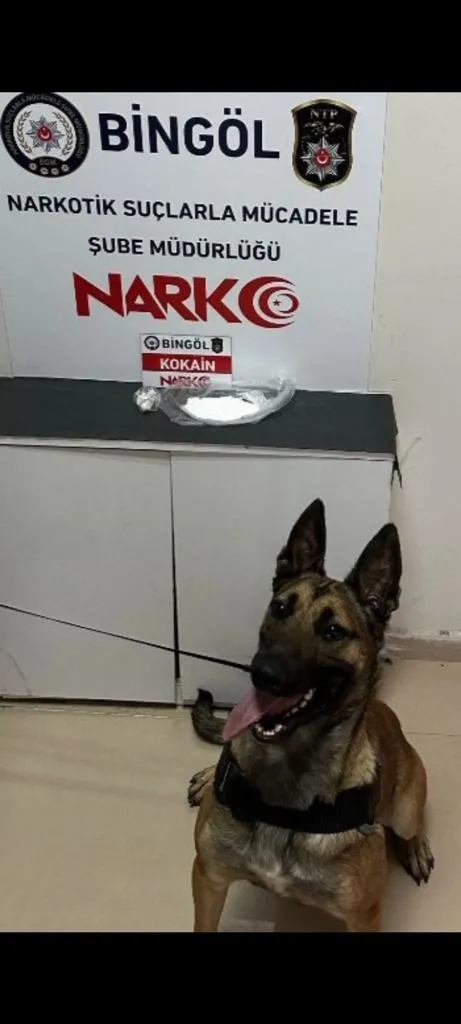 bingolde-uyusturucu-operasyonu-2-kisi-tutuklandi-1690477059486.jpg