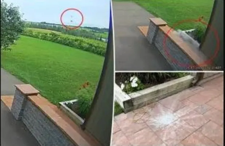 EVİN ARKASINA DÜŞEN GÖKTAŞI ŞOKE ETTİ!