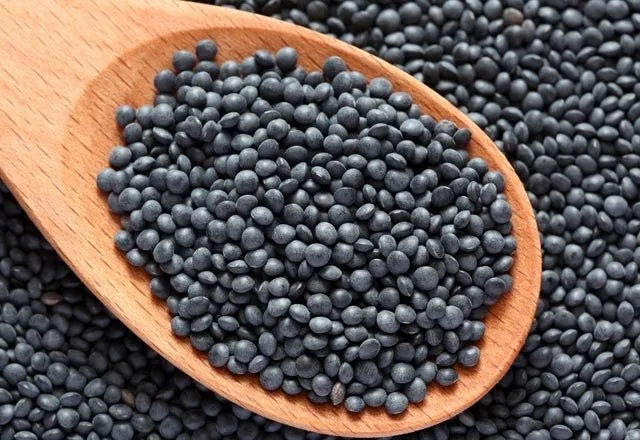 Beluga mercimeği faydaları