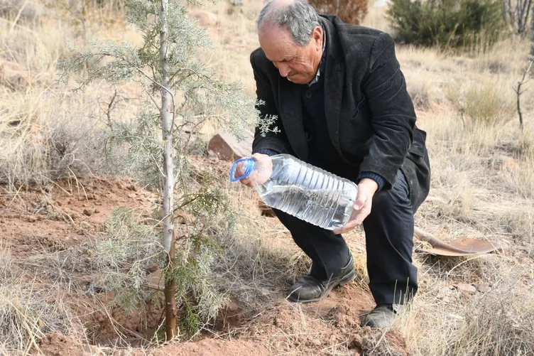 Çorak arazileri ormana dönüştürüyor: Bu benim için hobi değil yaşam tarzı