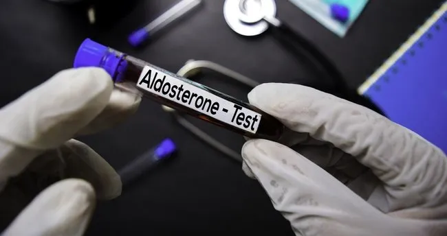 Aldosteron Hormonu Görevi Nedir? Aldosteron Hormonu Eksikliğinde Meydana Gelen Hastalıklar Nelerdir?