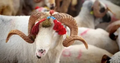 Diyanet 2026 Kurban Bayramı Takvimi: Kurban Bayramı ne zaman olacak, kaç gün kaldı, tatili ne kadar sürecek?