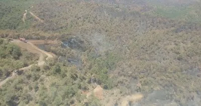 Bodrum’da ziraat yangını! 1 hektar alan zarar gördü
